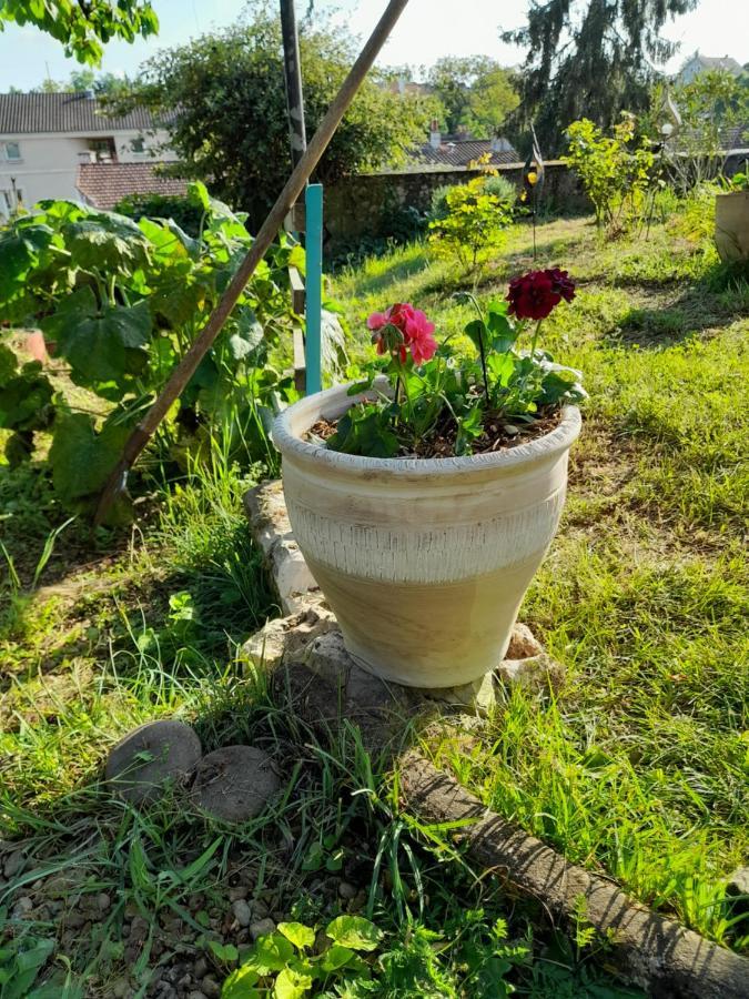 Homestay La Terrasse *